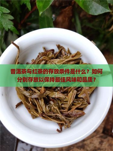 普洱茶与红茶的存放条件