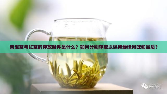 普洱茶与红茶的存放条件
