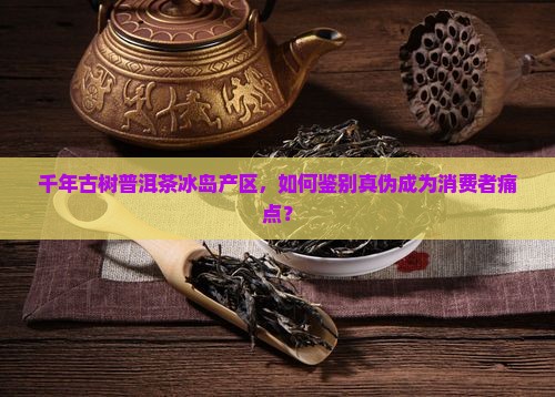 普洱茶千年古树冰岛