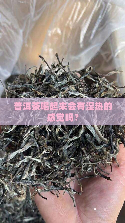 普洱茶中有湿热吗