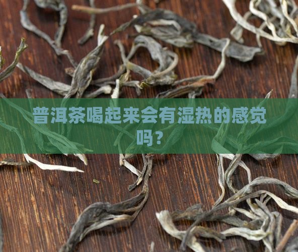 普洱茶中有湿热吗