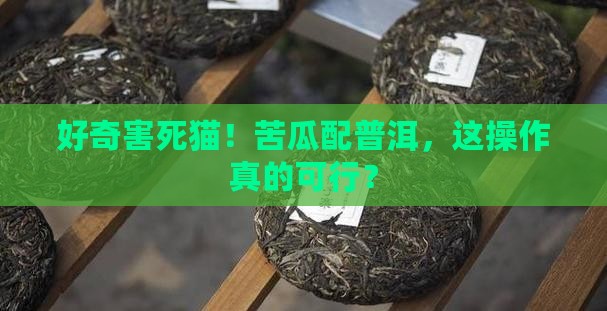 苦瓜喝普洱茶能一起喝吗