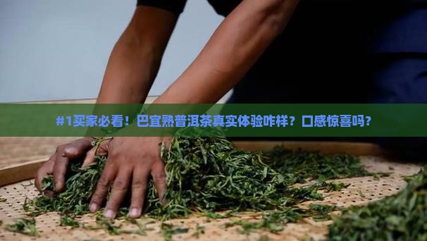 巴宜熟普洱茶品牌