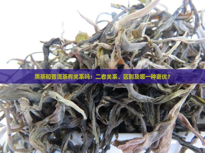 黑茶和普洱茶有关系吗