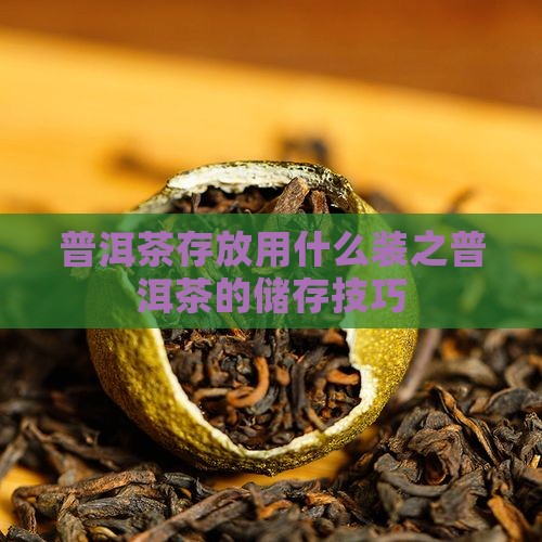 普洱茶存放用什么装