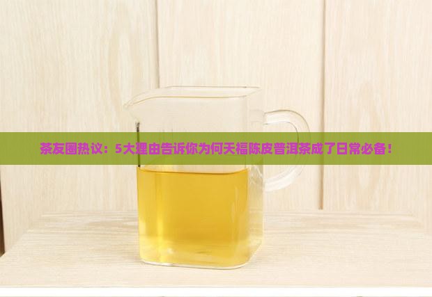 天福陈皮普洱茶