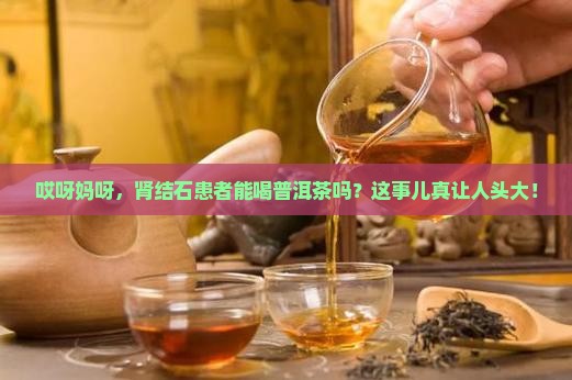 肾结石的人能喝普洱茶吗