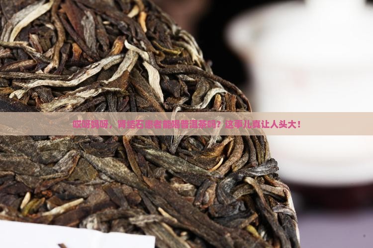 肾结石的人能喝普洱茶吗
