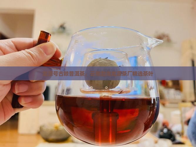 龙源号古赖普洱茶