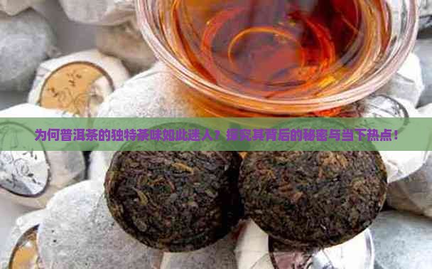 普洱茶的茶叶茶味