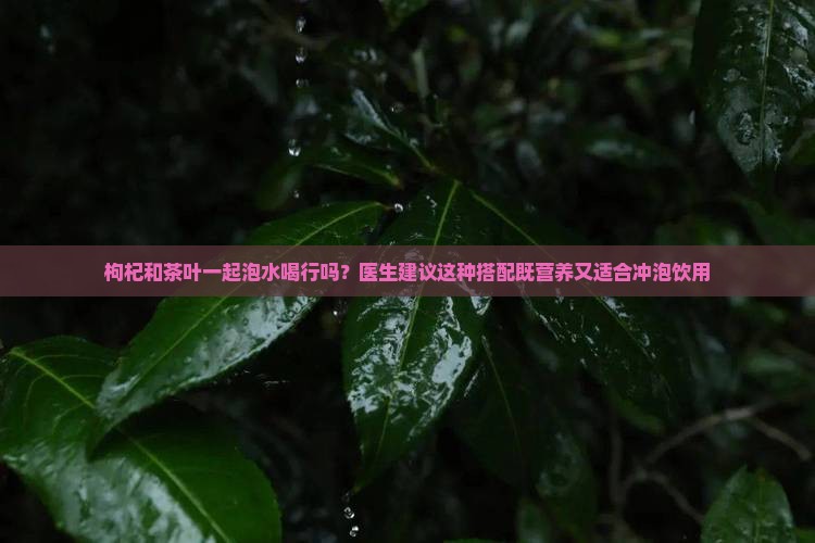 枸杞跟茶叶一起泡水喝行吗