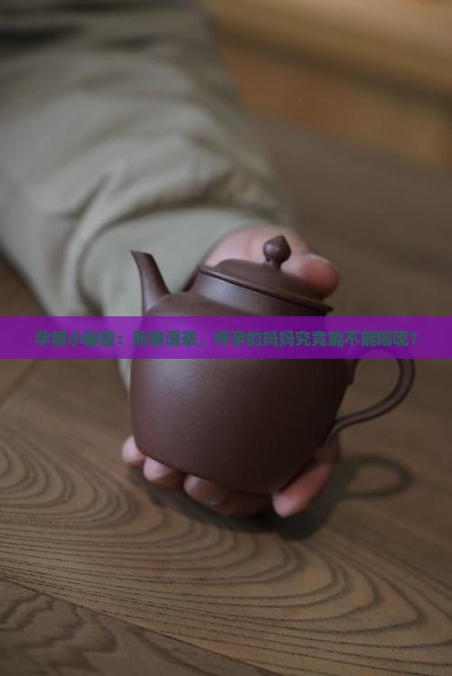 熟普洱茶怀孕能喝吗