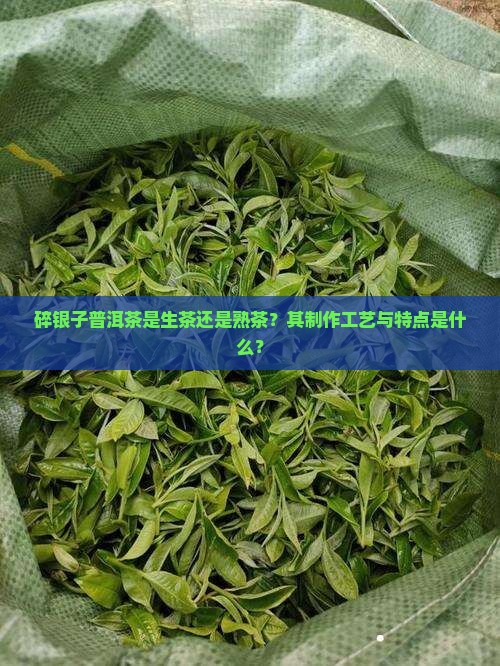 碎银子是生茶吗