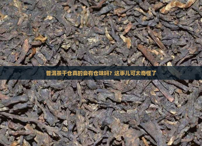 普洱茶干仓也有仓味吗