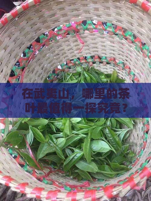 武夷山去哪里买茶叶