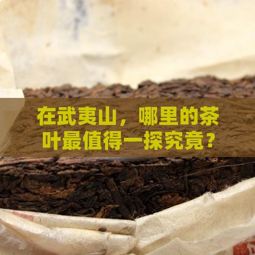 武夷山去哪里买茶叶