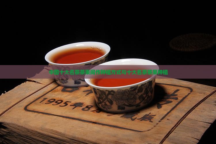 中国十大名茶茶果