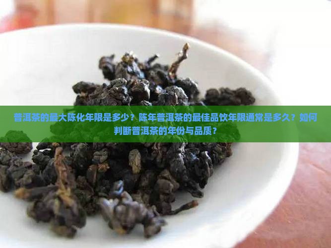 普洱茶最多有多少年的