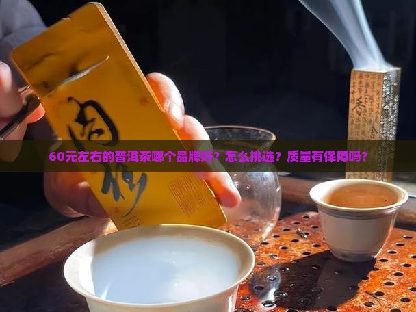 60元左右的普洱茶