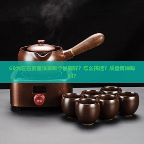 60元左右的普洱茶