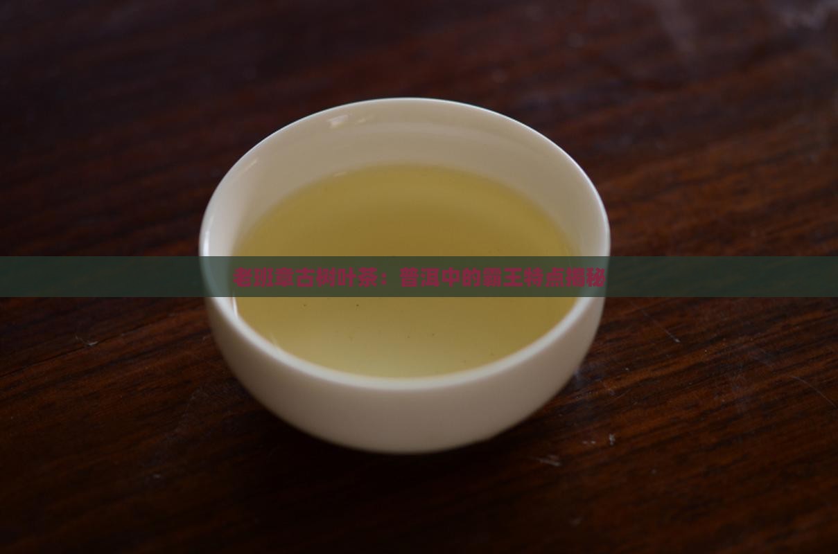 老班章古树老叶茶特点