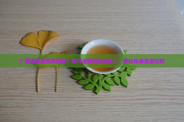 广西高端普洱茶招商