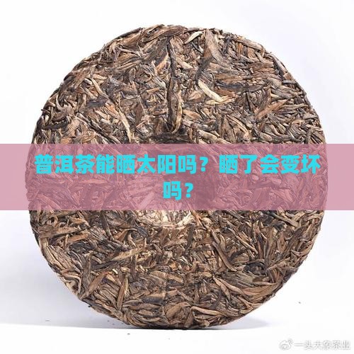 普洱茶能拿出来晒吗