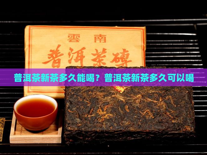 普洱茶新茶多久