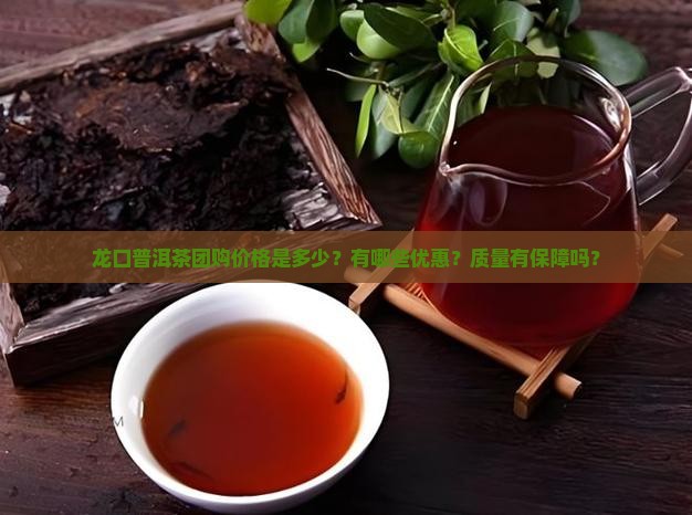 龙口普洱茶团购价格