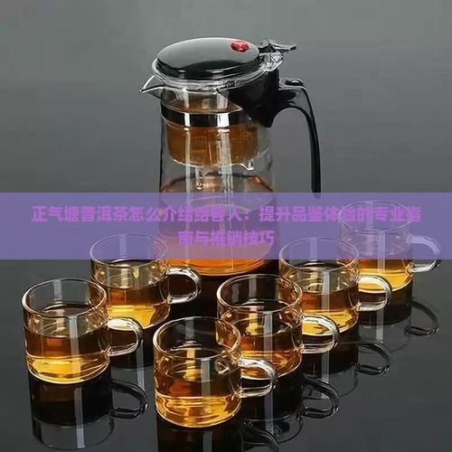 正气塘普洱茶怎么介绍给客人