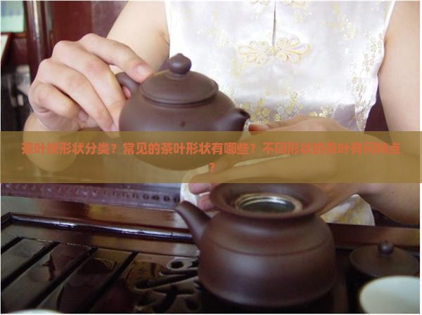 茶叶按形状分类