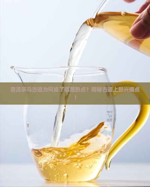 普洱茶马古道喂鹿