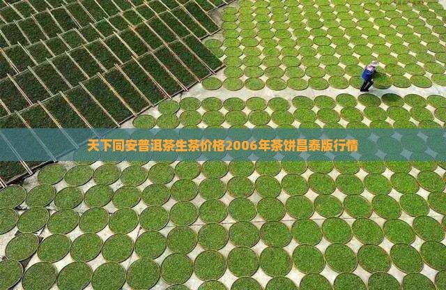 天下同安普洱茶生茶价格