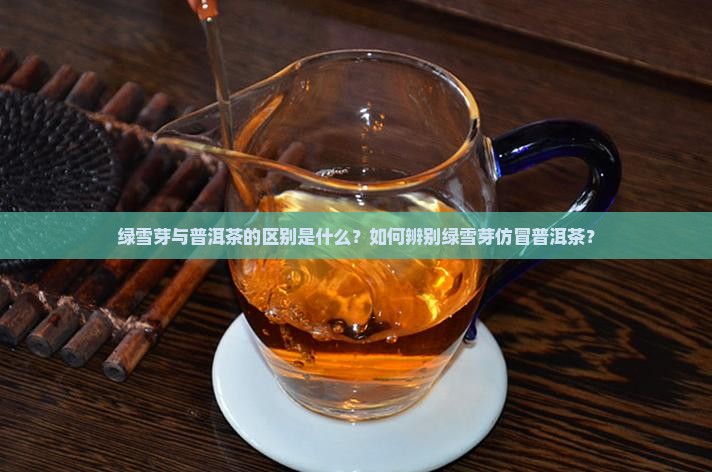 绿雪芽仿冒普洱茶