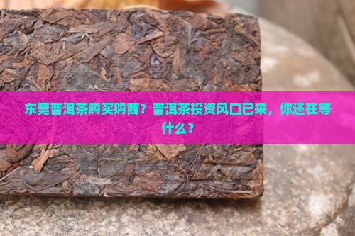 东莞普洱茶购买购商