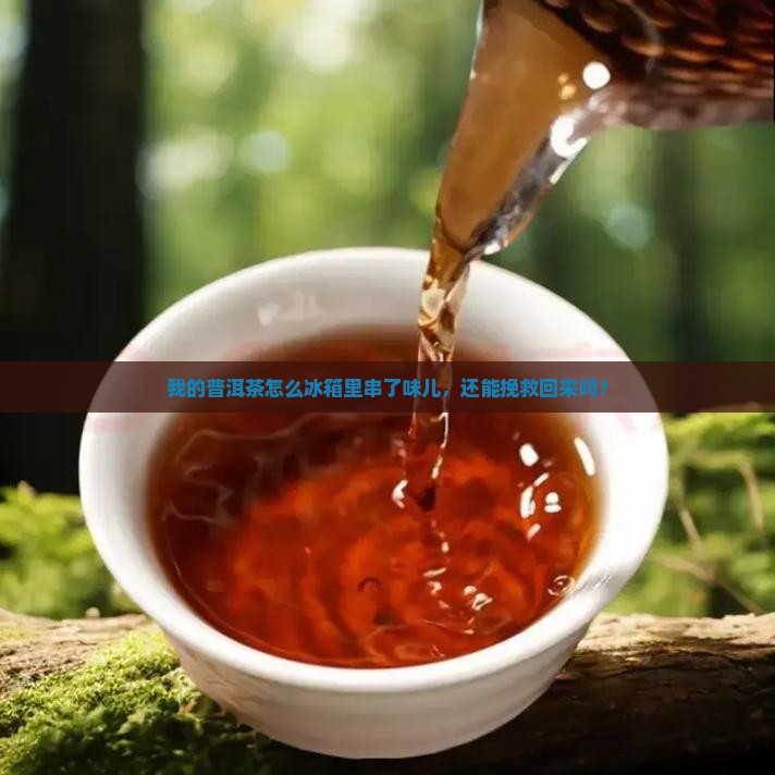 冰箱窜味的普洱茶还能喝吗