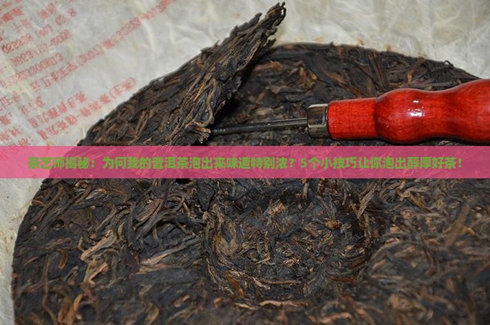 普洱茶香味浓重的原因