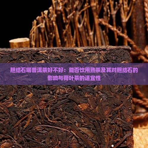 胆结石喝普洱茶好不好