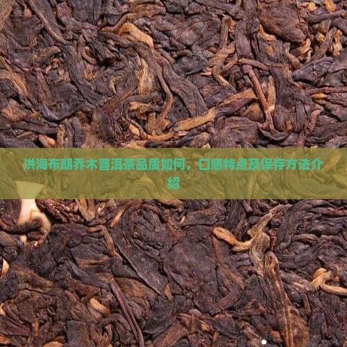 洪海布朗乔木普洱茶怎么样
