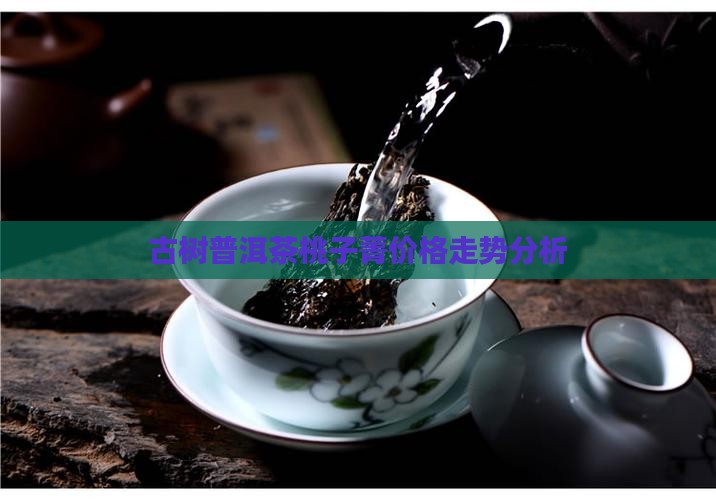 普洱茶桃子菁价格
