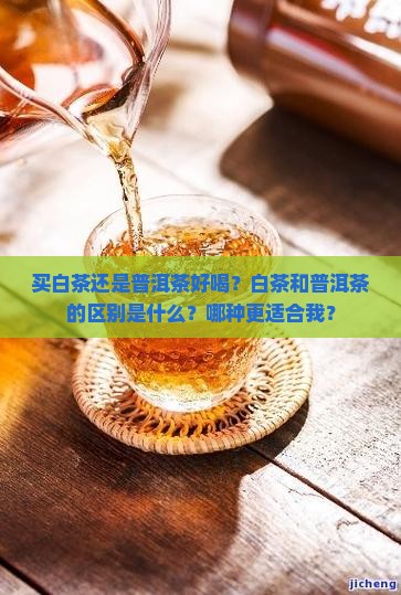 买白茶还是普洱茶好喝