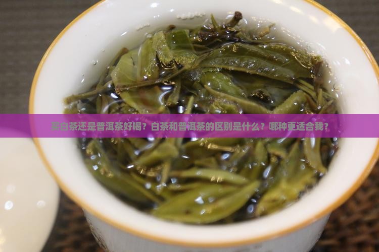 买白茶还是普洱茶好喝