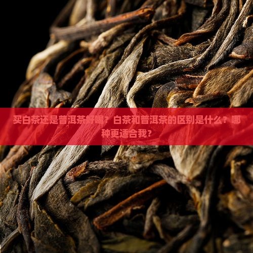 买白茶还是普洱茶好喝