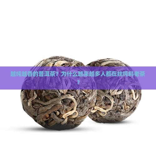 越纯越香的普洱茶