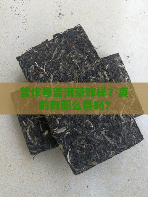 普作号普洱茶好吗