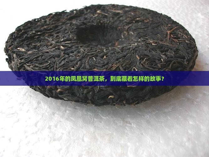 勐海凤凰窝普洱茶2016
