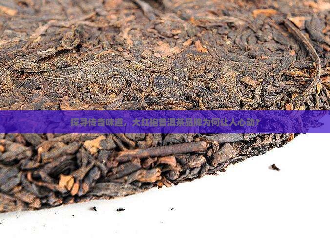大红袍普洱茶品牌