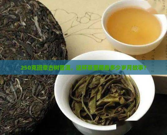 班章古树普洱茶250克