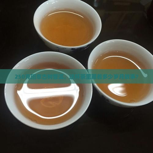 班章古树普洱茶250克