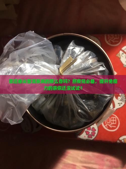 景迈春尖普洱茶